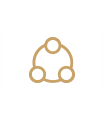 適應性強